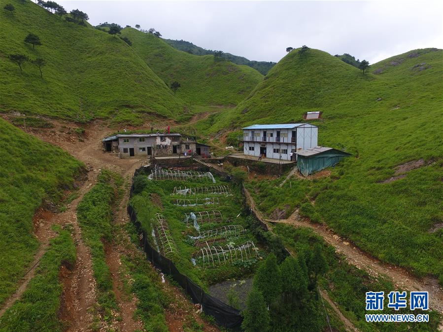 （新華全媒頭條·圖文互動）（3）一個人，一座山——劉真茂的生命守望