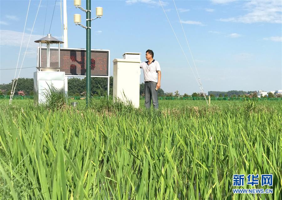 （新華全媒頭條·圖文互動）（4）最年輕的節(jié)日 最悠久的牽念——寫給首個中國農(nóng)民豐收節(jié)