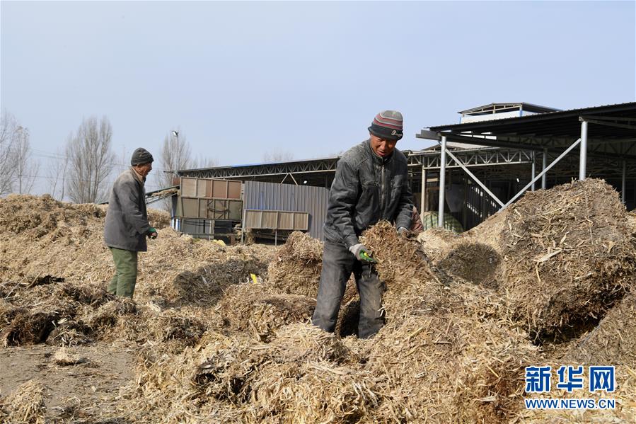 （在習近平新時代中國特色社會主義思想指引下——新時代新氣象新作為·鄉(xiāng)村振興戰(zhàn)略·圖文互動）（2）“與其放火，不如打包”——山西渾源秸稈綜合再利用見聞