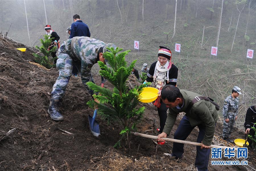 （圖文互動(dòng)）（6）和平年代，離死神最近的人——南部戰(zhàn)區(qū)陸軍云南掃雷大隊(duì)邊境掃雷排爆記事