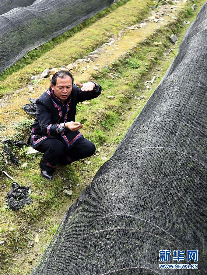 （兩會(huì)·基層代表履職故事）（7）全國(guó)人大代表龍獻(xiàn)文：幸福都是奮斗出來(lái)的!