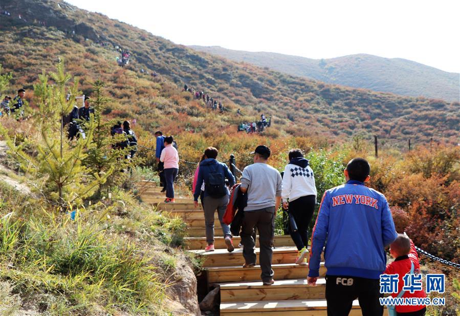 （城市綠道建設(shè)·圖文互動）（5）青城登山步道：踏遍青山享美景 生態(tài)綠道助脫貧