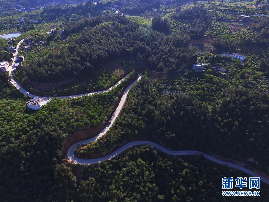 （在習(xí)近平新時代中國特色社會主義思想指引下——新時代新作為新篇章）（13）重慶巫山：“生態(tài)寶貝”變身“搖錢樹”