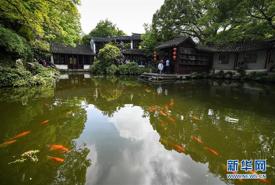 （新華全媒頭條·圖文互動(dòng)）（11）天人合一、咫尺乾坤：蘇州園林的東方魅力