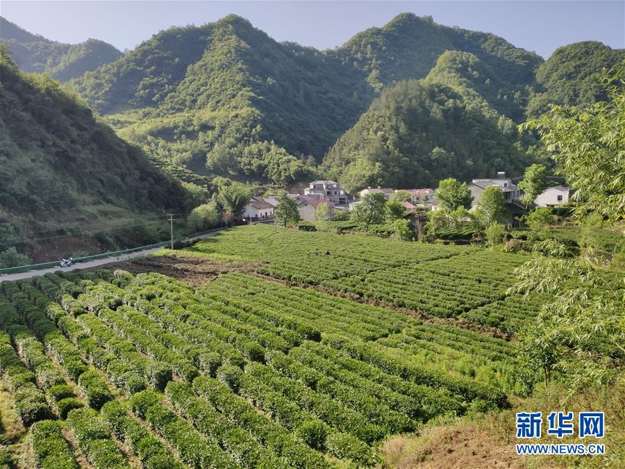 （圖文互動(dòng)）（1）漢江畔崛起生態(tài)城——來自南水北調(diào)中線核心水源地的調(diào)查報(bào)告