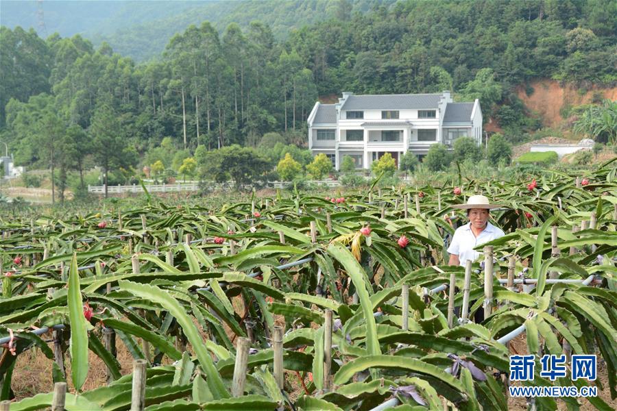 （在習(xí)近平新時(shí)代中國特色社會主義思想指引下——新時(shí)代新作為新篇章·總書記關(guān)心的百姓身邊事·圖文互動）（6）大污染變身“大寶藏”：治理畜禽糞污，他們這樣干！