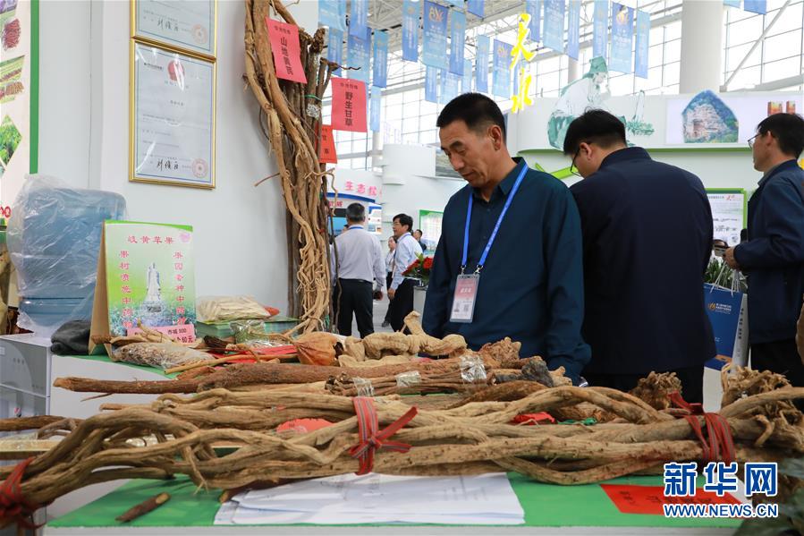 （來自一線的調(diào)查報(bào)告·圖文互動）（1）甘肅：岐黃肇始地 振興開新方