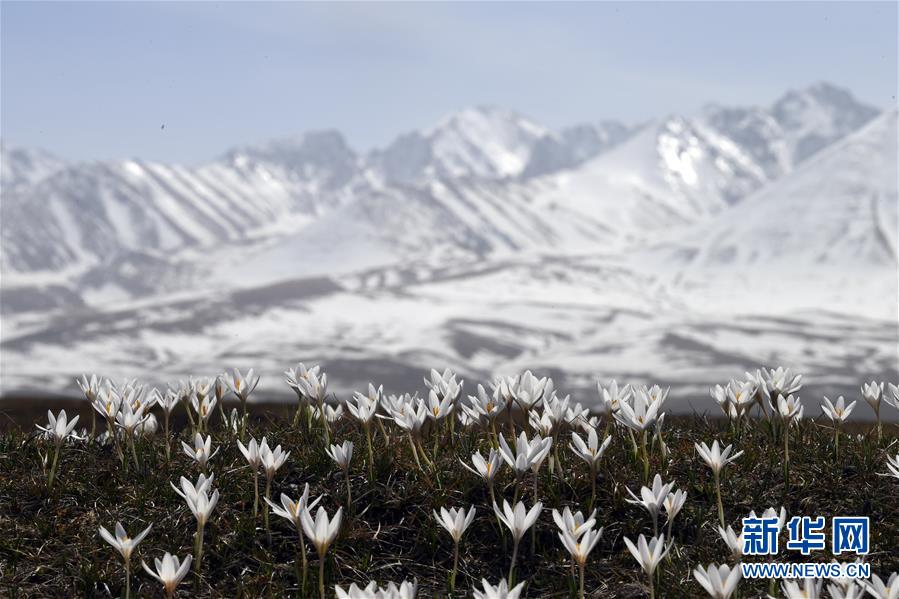 （北京世園會）（11）生態(tài)中國·壯美山河瞰新疆