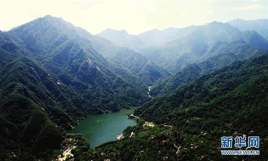 （新華全媒頭條·圖文互動）（4）綠色的啟示——西部地區(qū)生態(tài)問題典型個案再調查