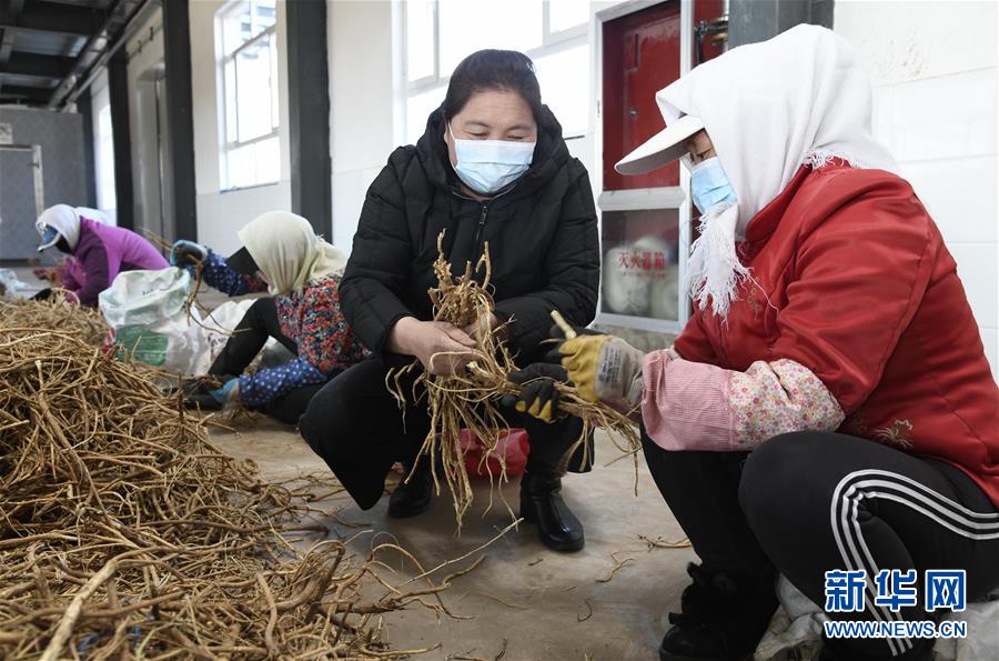 （新華全媒頭條·圖文互動）（2）特殊時期，他們這樣履職——全國人大代表這個春天在行動