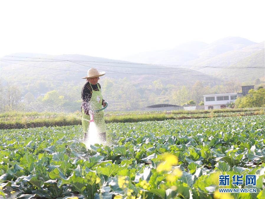 （決戰(zhàn)決勝脫貧攻堅·圖文互動）（3）逐項逐戶排查補(bǔ)齊脫貧攻堅“短板”——貴州晴隆縣扶貧一線工作見聞 