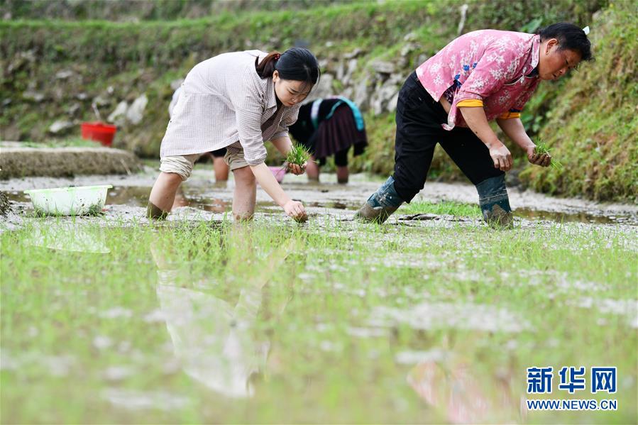 （決戰(zhàn)決勝脫貧攻堅·圖文互動）（4）月亮山女孩與她的“扶貧網(wǎng)格”