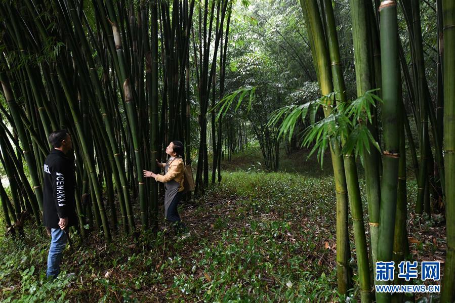 （代表委員履職·圖文互動）（2）“90后”非遺傳承人楊昌芹：讓傳統(tǒng)文化為鄉(xiāng)村振興注入“靈魂”