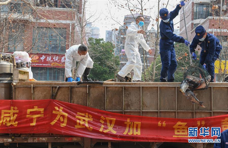 （新華全媒頭條·圖文互動）（11）風(fēng)雨無阻向前進——寫在全國疫情防控阻擊戰(zhàn)取得重大戰(zhàn)略成果之際