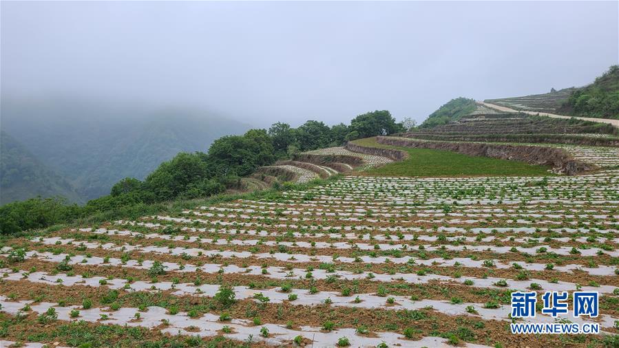 （決戰(zhàn)決勝脫貧攻堅·圖文互動）（3）喚醒“沉睡的大山”——“經營鄉(xiāng)村”讓烏蒙山極貧鄉(xiāng)變了“模樣”