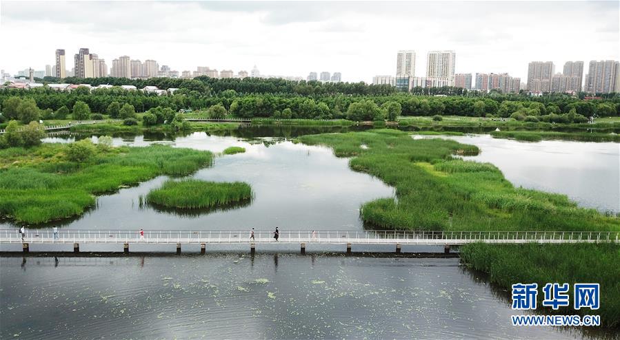 （走向我們的小康生活·圖文互動(dòng)）（1）水清、地綠、空氣新——最北省份黑龍江繪就生態(tài)治理新畫卷