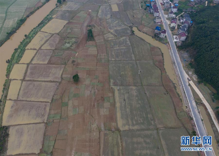 （防汛抗洪）（3）江西鄱陽(yáng)遭遇暴雨