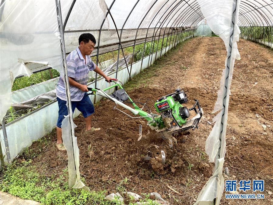 （防汛抗洪·圖文互動）（3）修路通水忙重建 補(bǔ)種搶收復(fù)生產(chǎn)——湘西山洪后恢復(fù)生產(chǎn)生活見聞