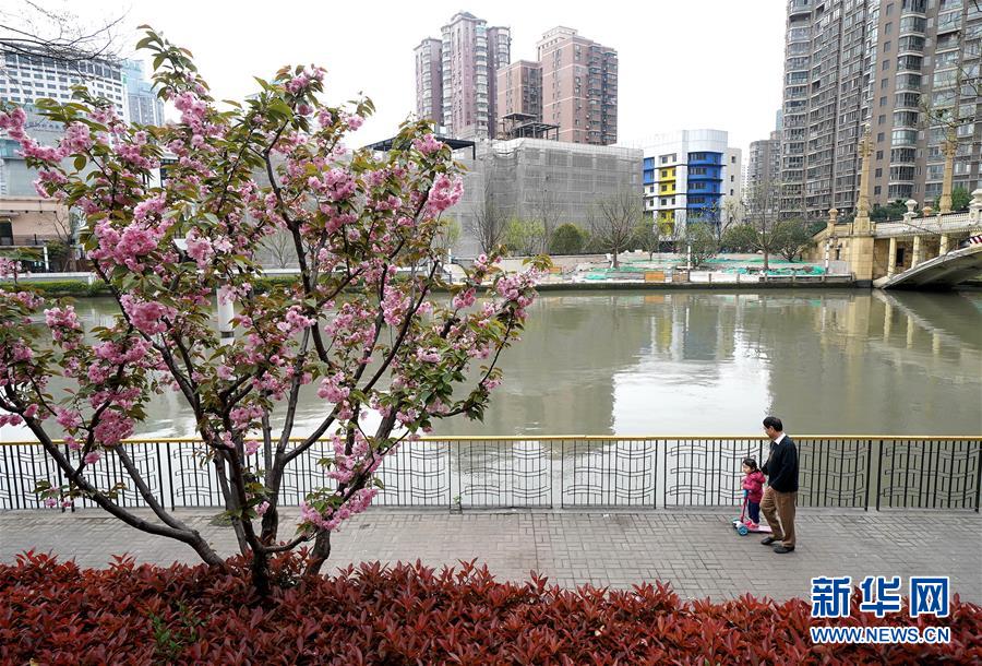 （新華全媒頭條·走向我們的小康生活·圖文互動）（12）城市，讓人民生活更美好