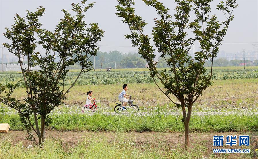 （新華全媒頭條·走向我們的小康生活·圖文互動）（14）城市，讓人民生活更美好