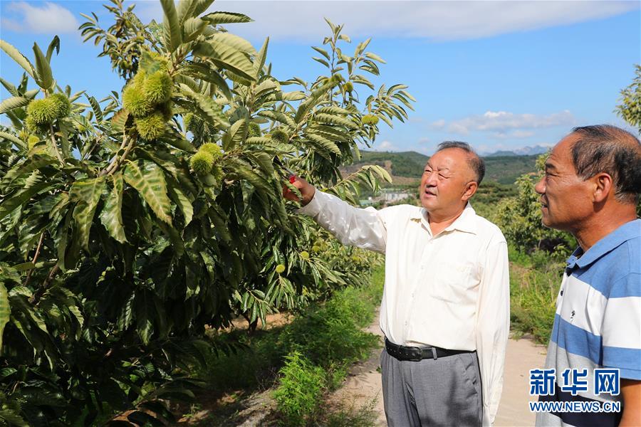 （新華全媒頭條·走向我們的小康生活·圖文互動(dòng)）（11）長(zhǎng)城腳下，小康村串成“珍珠鏈”