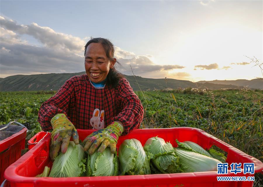 （新華全媒頭條·決戰(zhàn)決勝脫貧攻堅·督戰(zhàn)未摘帽貧困縣·圖文互動）（1）不獲全勝，決不收兵——全國52個掛牌督戰(zhàn)貧困縣脫貧攻堅紀(jì)實