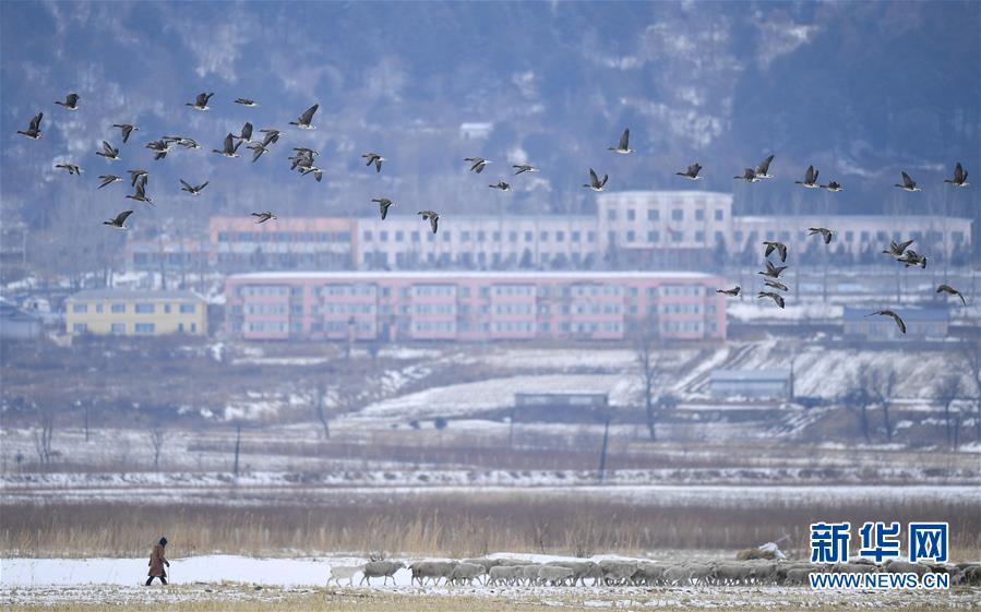 （新華全媒頭條·走向我們的小康生活·圖文互動）（14）黑土地上是我家——在吉林，一瞥中國東北鄉(xiāng)村美麗未來