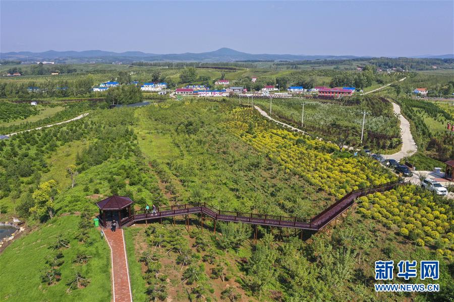 （新華全媒頭條·走向我們的小康生活·圖文互動）（16）黑土地上是我家——在吉林，一瞥中國東北鄉(xiāng)村美麗未來