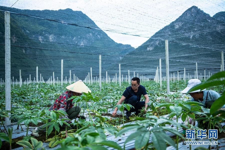 （新華全媒頭條·決戰(zhàn)決勝脫貧攻堅(jiān)·督戰(zhàn)未摘帽貧困縣·圖文互動(dòng)）（10）把“最能打的人”放在最需要的地方——聚焦貴州未脫貧縣里的“助攻干部”