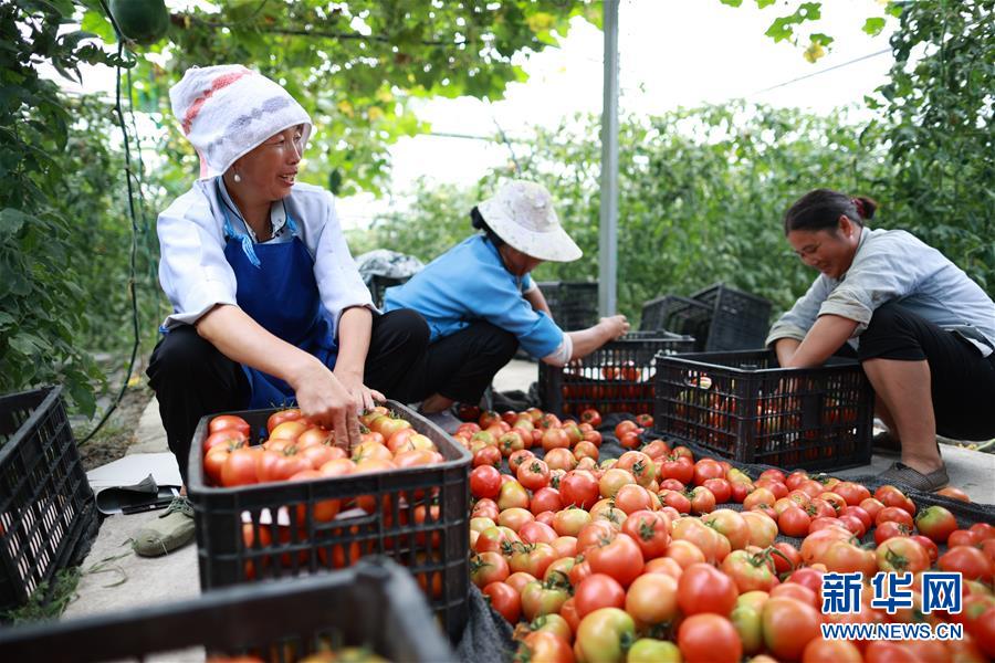 （新華全媒頭條·走向我們的小康生活·決戰(zhàn)決勝脫貧攻堅·圖文互動）（8）千年之渴今朝解——貴州貧困群眾實現(xiàn)“吃水不愁”