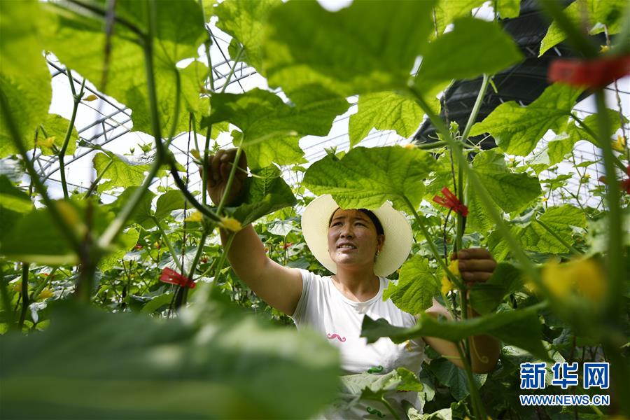 （新華全媒頭條·百萬(wàn)大移民·圖文互動(dòng)）（1）從大山深處到大河之畔——寧夏持續(xù)移民百萬(wàn)“拔窮根”啟示