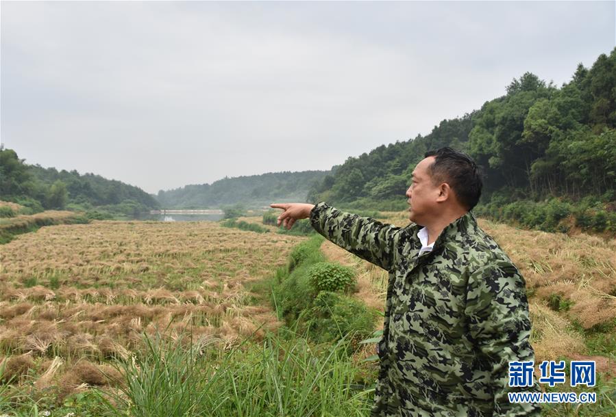 （代表委員履職·圖文互動）（2）“我是農(nóng)民代表，始終關(guān)注農(nóng)村”——全國人大代表沈昌健的履職故事