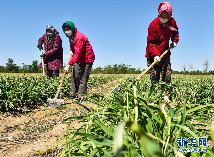 （新華全媒頭條·圖文互動(dòng)）（17）從人民中汲取磅礴力量——習(xí)近平總書記同出席2020年全國(guó)兩會(huì)人大代表、政協(xié)委員共商國(guó)是紀(jì)實(shí)