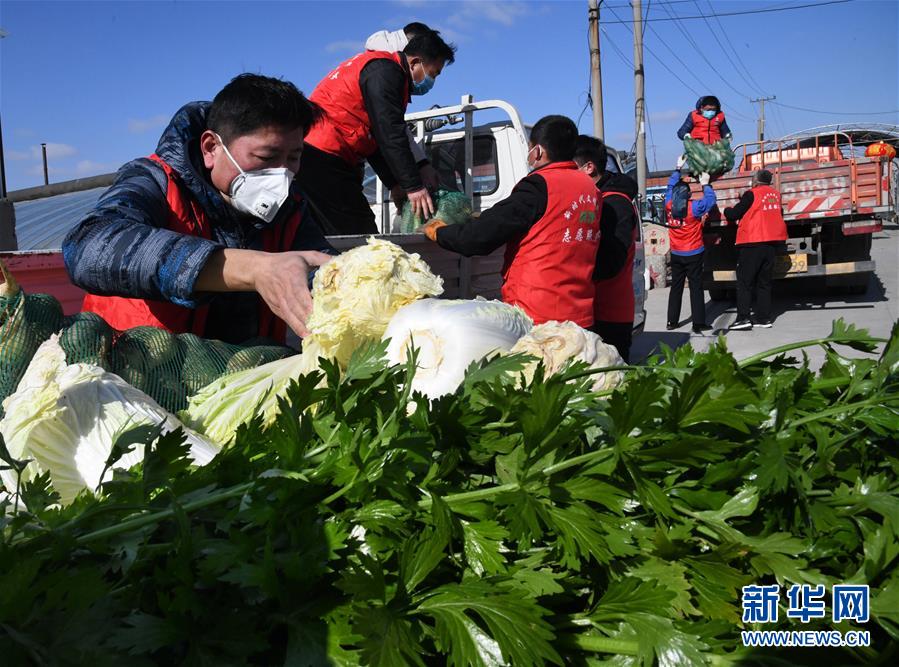 （在習近平新時代中國特色社會主義思想指引下——新時代新作為新篇章·習近平總書記關切事·圖文互動）（2）“菜籃子”里的力量——全國各地努力做好保障和改善民生工作在行動