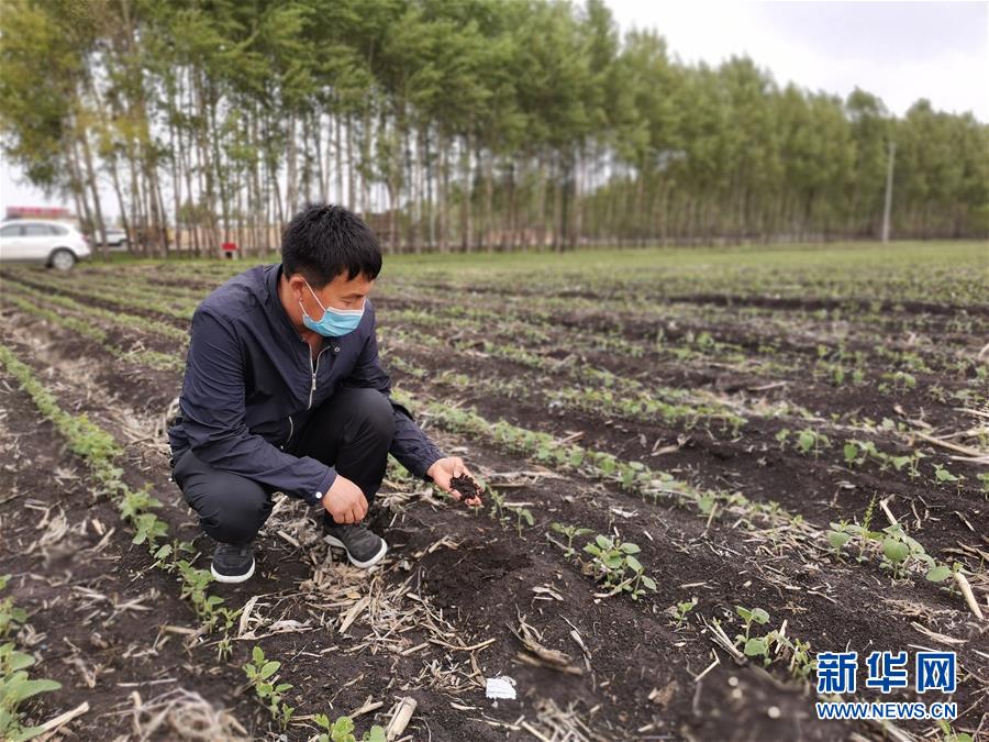 （在習(xí)近平新時(shí)代中國(guó)特色社會(huì)主義思想指引下——新時(shí)代新作為新篇章·習(xí)近平總書記關(guān)切事·圖文互動(dòng)）（6）讓每一寸耕地都成為豐收的沃土——我國(guó)加強(qiáng)耕地保護(hù)推進(jìn)“藏糧于地”