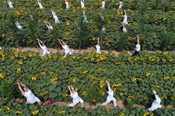 向陽(yáng)花海練瑜伽