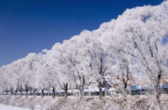 全國初雪時間表出爐 看看你離初雪還有多遠？