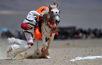 西藏阿里舉行賽馬競技大賽