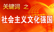 胡錦濤提出，扎實推進社會主義文化強國建設