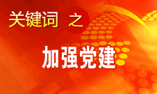 王京清：加強(qiáng)黨建必須倍加珍惜、始終堅(jiān)持、不斷發(fā)展