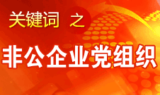 王京清：非公企業(yè)建立黨組織服務(wù)企業(yè)發(fā)展、服務(wù)員工