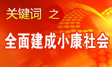 張平：必須確保到2020年全面建成小康社會