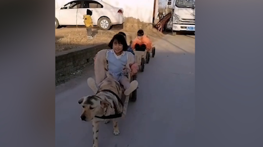 男子給孩子做縮小版小火車，家里的狗狗做動力拉著孩子上學