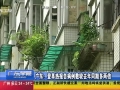 廣東：登革熱報告病例數較去年同期多兩倍