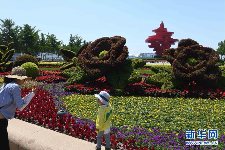 （上合青島峰會(huì)）（6）青島：花滿(mǎn)島城待賓朋  