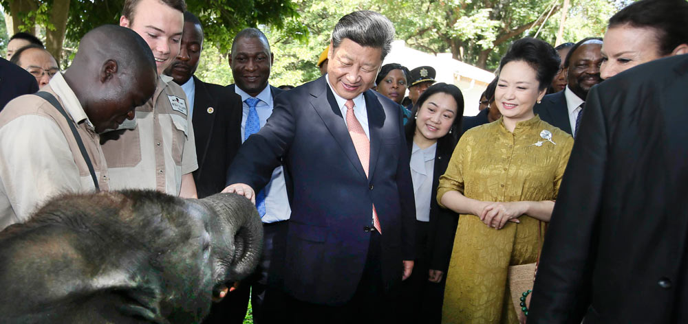 習(xí)近平考察津巴布韋野生動物救助基地