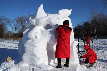 全國(guó)雪雕賽：巧奪天工展技藝